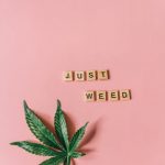 Prague Cannabis Boutique Pricing Guide img-1038.jpg