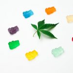 Prague has become a hotspot for cannabis enthusiasts across Central Europe img-1393.jpg