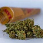 Looking for a reliable, fast, and discreet way to get high‑quality cannabis, marijuana, hemp, or THC products in Prague? img-1653.jpg