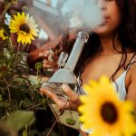 Prague is becoming a hub for cannabis enthusiasts, researchers, and investors alike img-2083.jpg