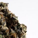 Cannabis Delivery Prague: Fast, Reliable, and Discreet Service img-2239.jpg