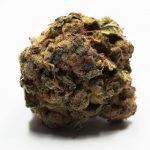 Prague’s vibrant cannabis culture and growing vape scene make it an exciting destination for anyone looking to explore THC vape img-2380.jpg
