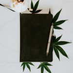 Ultimate Guide to THC-Infused Chocolate in Prague img-2502.jpg