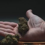 Welcome to the ultimate guide for discovering the best Prague cannabis scene and enjoying a carefully curated Prague THC menu while exploring the city. img-2577.jpg