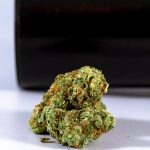 Buying Cannabis in Prague: A Comprehensive Guide img-278.jpg