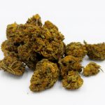 Looking for a discreet, delicious way to enjoy cannabis in Prague? Our online cannabis store offers a curated selection of premium THC chocolates and other edible delights img-2844.jpg