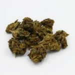 Welcome to the premier destination for THC vape and all‑things cannabis in the heart of the Czech Republic img-2860.jpg