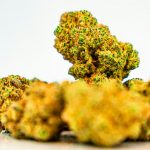 Welcome to the premier destination for premium THC joints in Prague img-2921.jpg