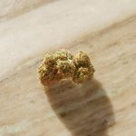 Cannabis Tourism in Prague img-402.jpg